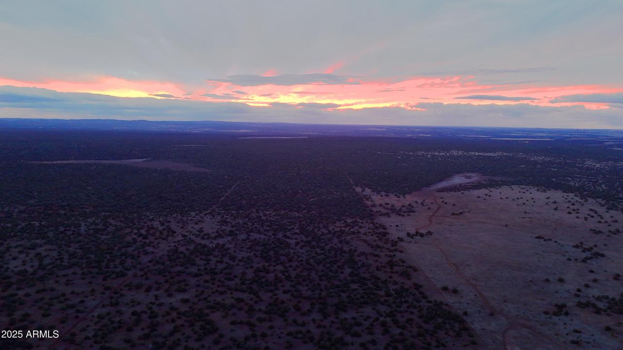 TBD Silver Lake Blvd Lot 5 8.16 Ac #-, Show Low, AZ 85901