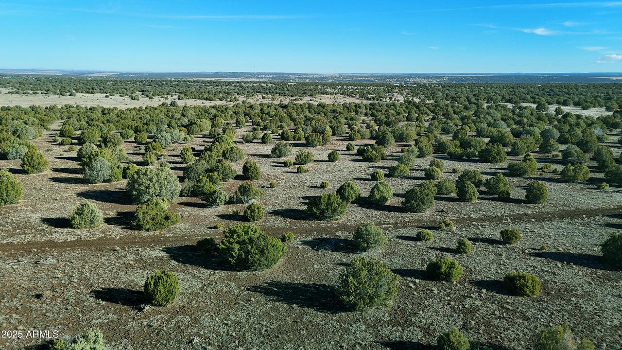TBD Silver Lake Lot 2 8.16 Acres #-, Show Low, AZ 85901