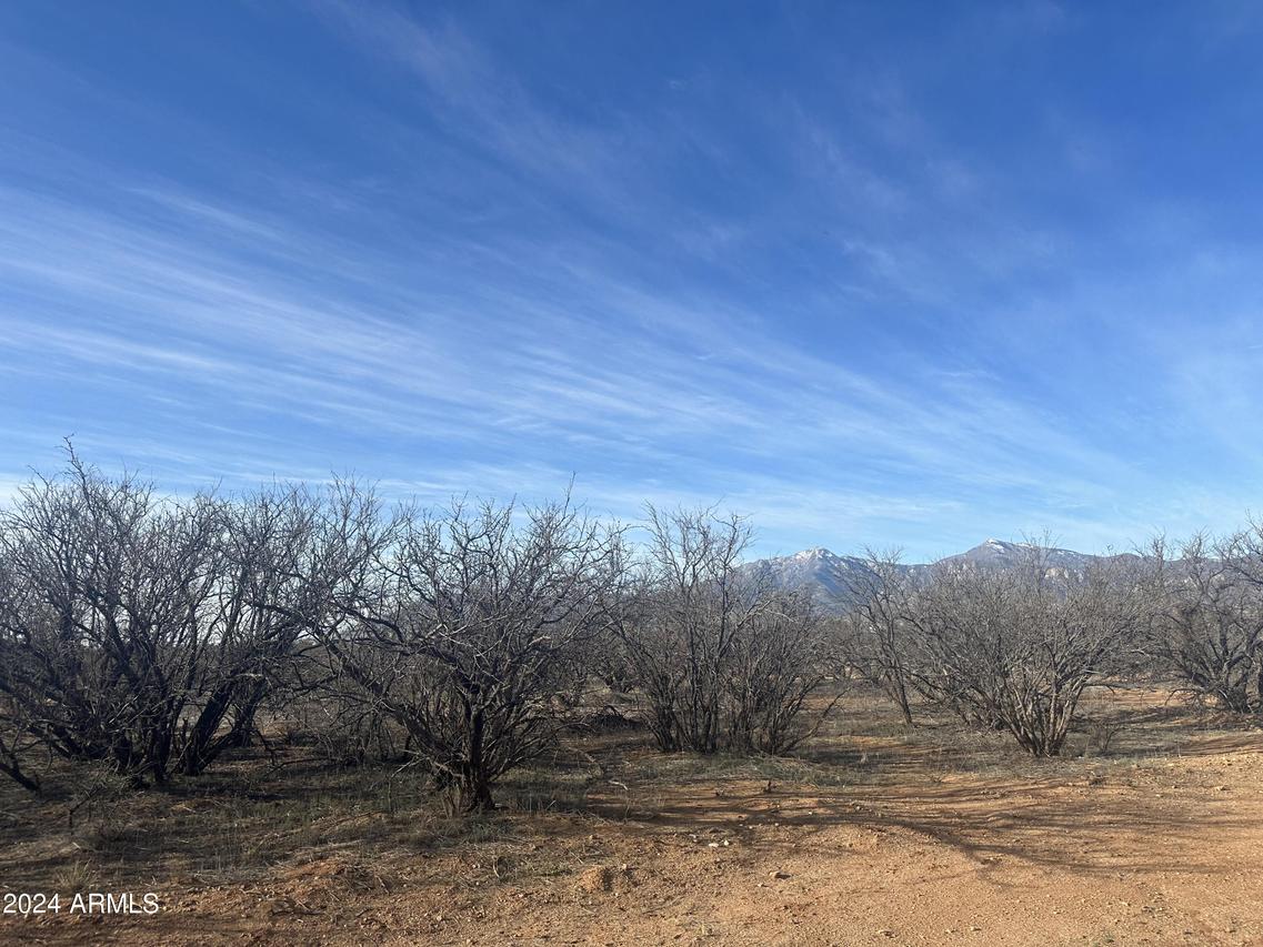 XXXX E Canada Dr. #21, Hereford, AZ 85615