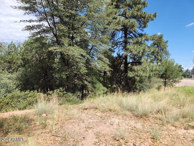910 N Beeline Hwy. #89, Payson, AZ 85541