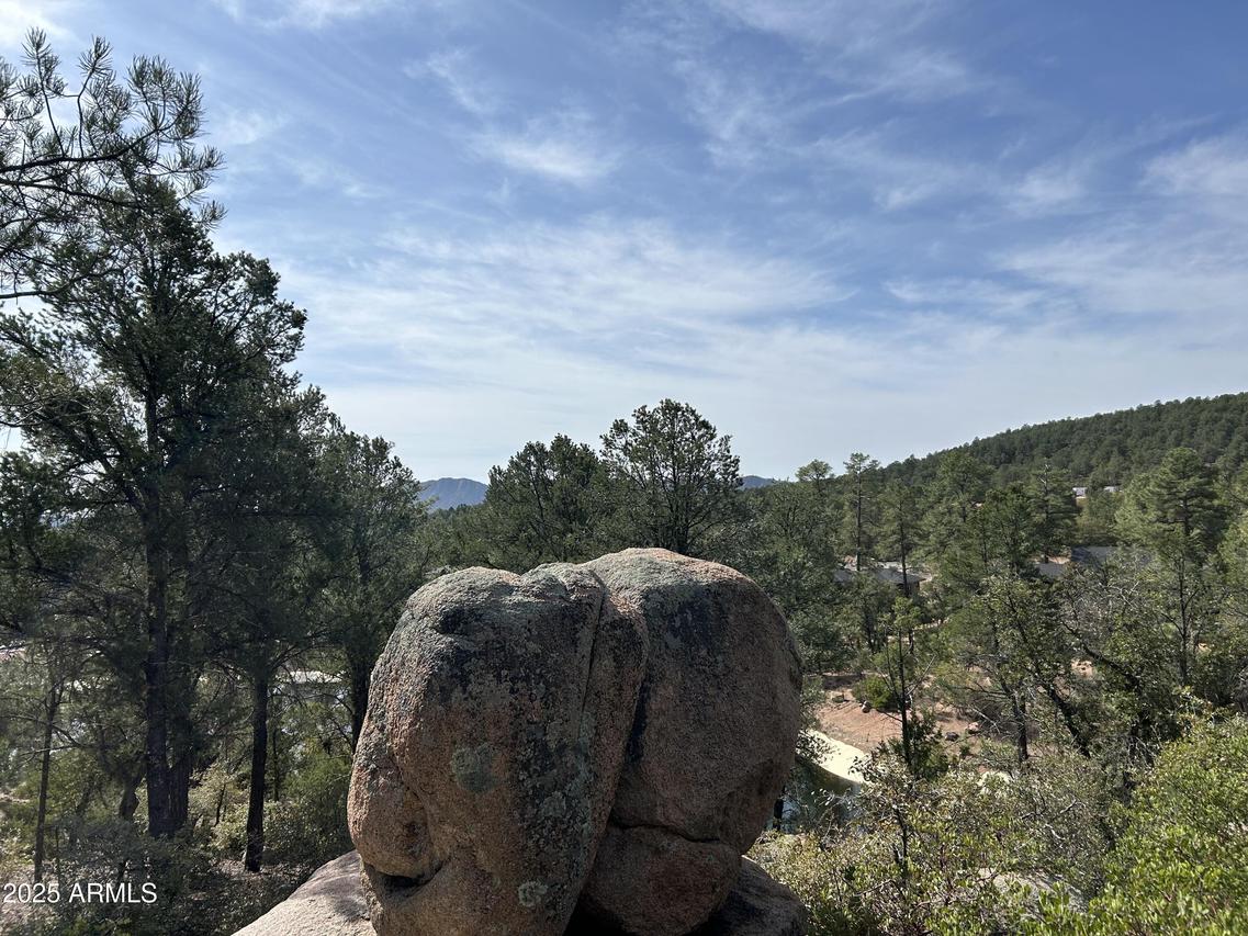 1703 E Redbud Ct. #878, Payson, AZ 85541