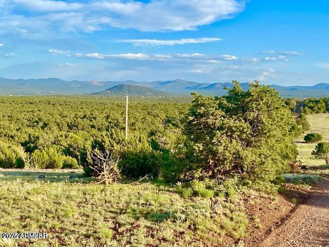 TBD N3208 Lots C & D 19.62 Acres #-, Vernon, AZ 85940