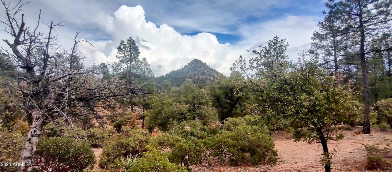 903 S Monument Valley Dr. #163, Payson, AZ 85541
