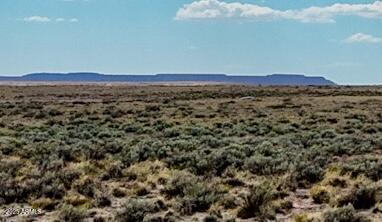 TBD County Road N7012 40 Acres #-, Sanders, AZ 86512