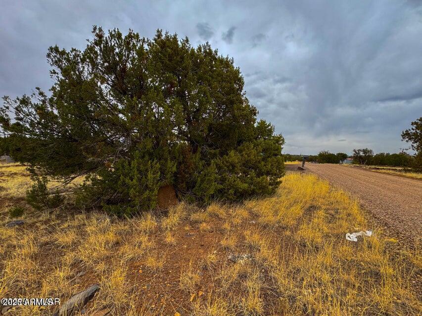 8512 Canyon Dr. #-, Show Low, AZ 85901