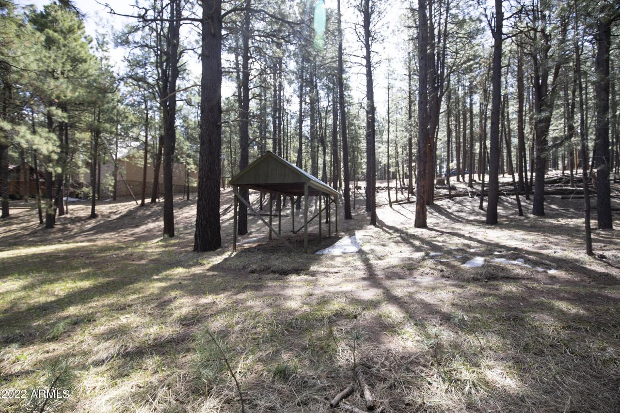 2607 Bailey Dr. #449, Forest Lakes, AZ 85931