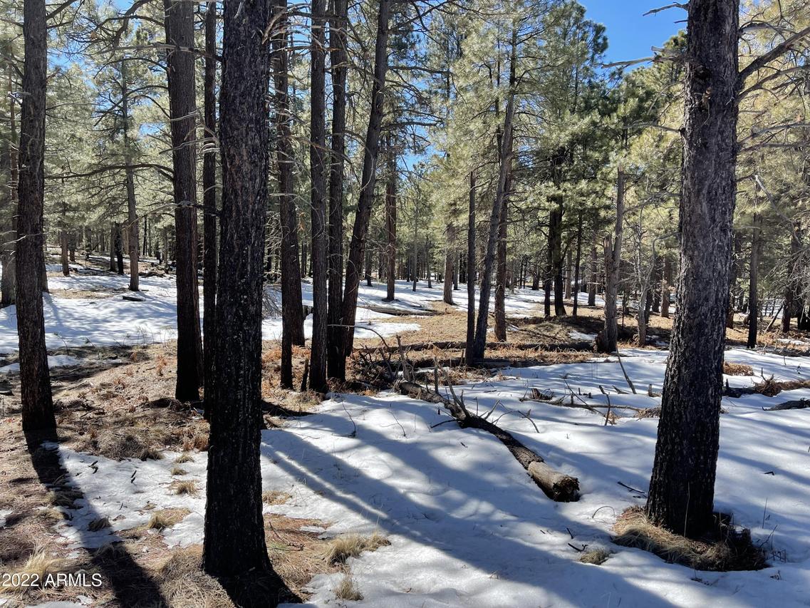 2692 Az-260 #895, Forest Lakes, AZ 85931