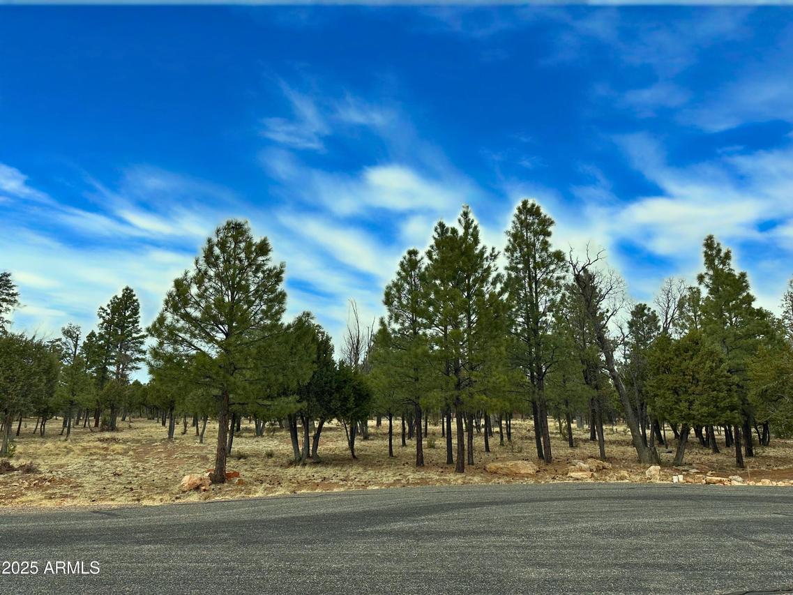 5823 Cripple Creek #259, Happy Jack, AZ 86024