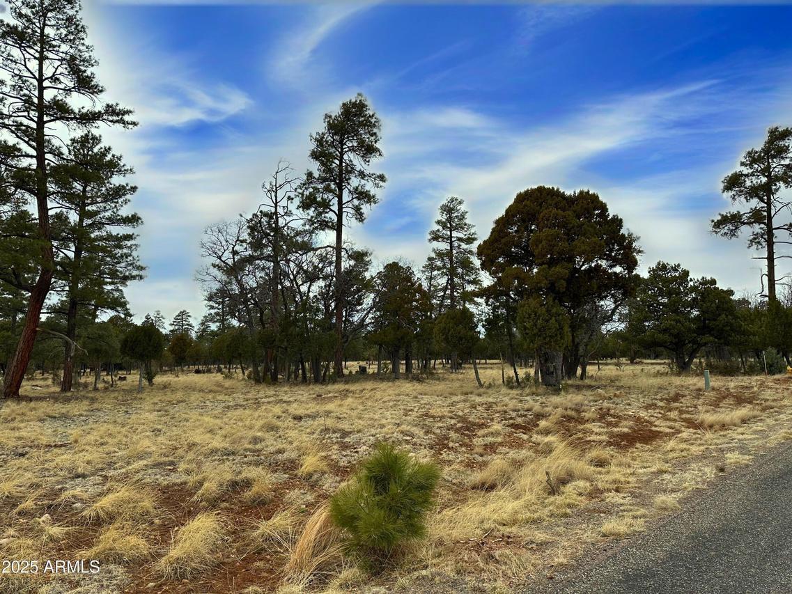 4109 Durango Dr. #295, Happy Jack, AZ 86024