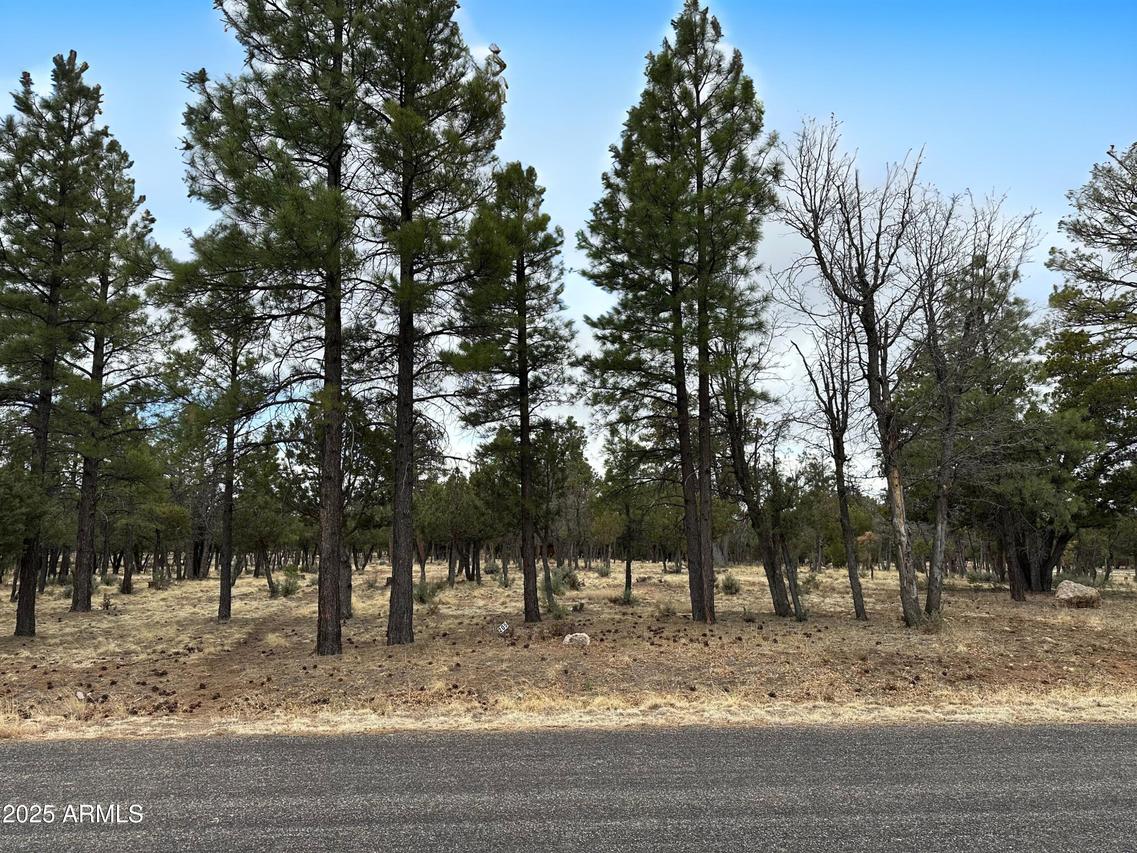3431 Durango Dr. #205, Happy Jack, AZ 86024