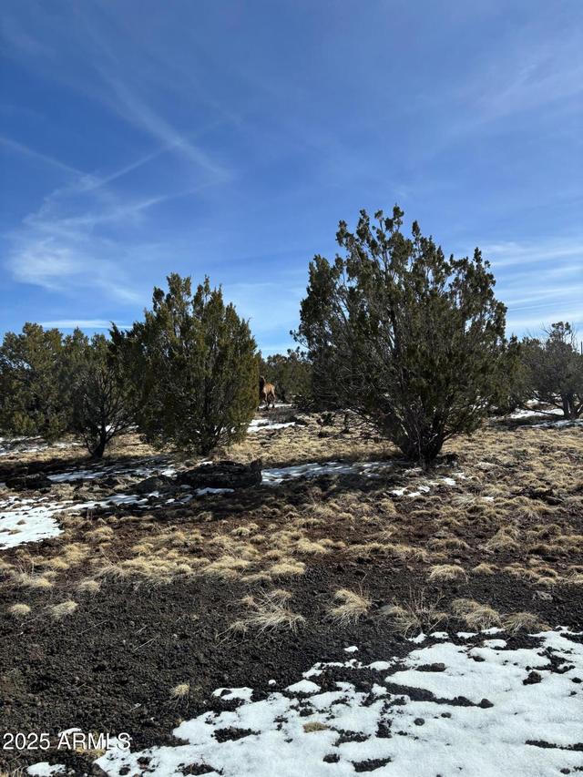 1632 Vernon Mcnary Rd. #20, Vernon, AZ 85940