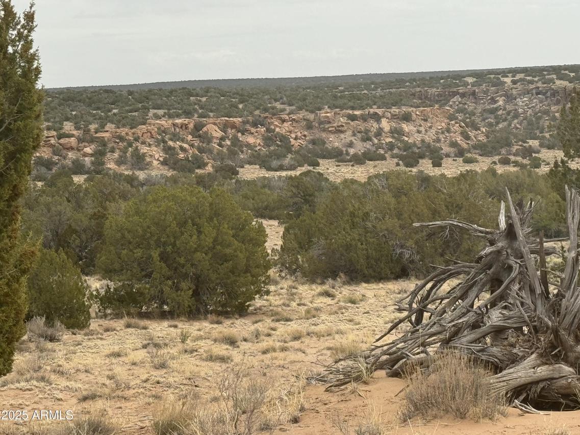 Lot 13 Witch Well Ranches #13, St Johns, AZ 85936