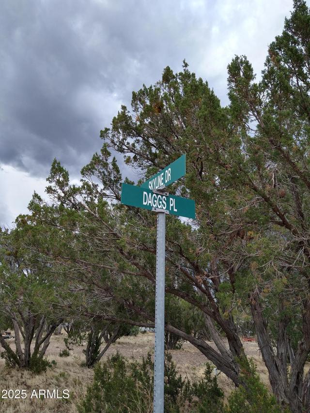 1827 Daggs Pl. #29, Show Low, AZ 85901