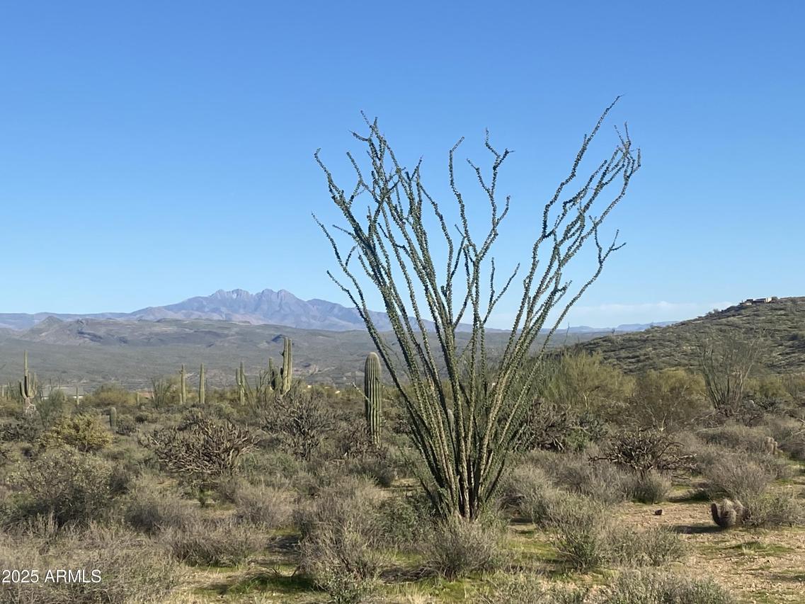 N 170 Streets #-/-/-, Rio Verde, AZ 85263