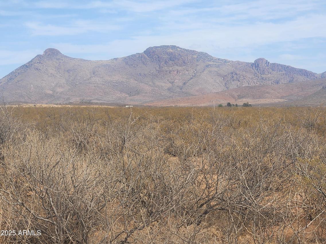 xxx 406-30-273 #245, Douglas, AZ 85607
