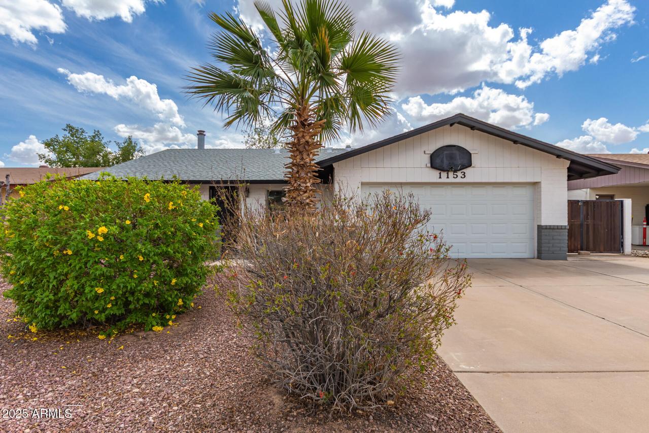 1153 W Mesquite St., Chandler, AZ 85224