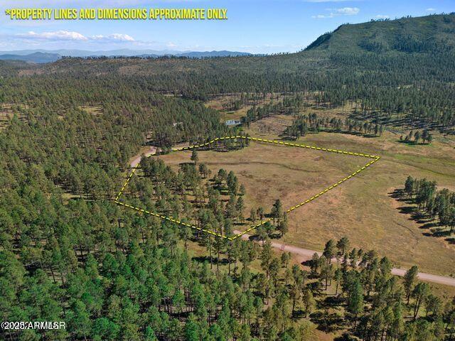 1A Forest Road 26 #-, Alpine, AZ 85920