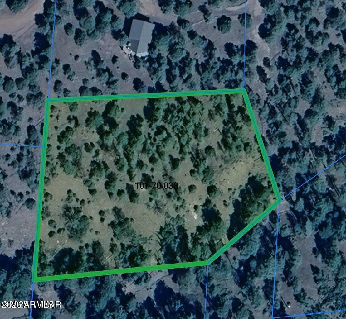 Lot 38 Noble Mountain Estates #38, Nutrioso, AZ 85932