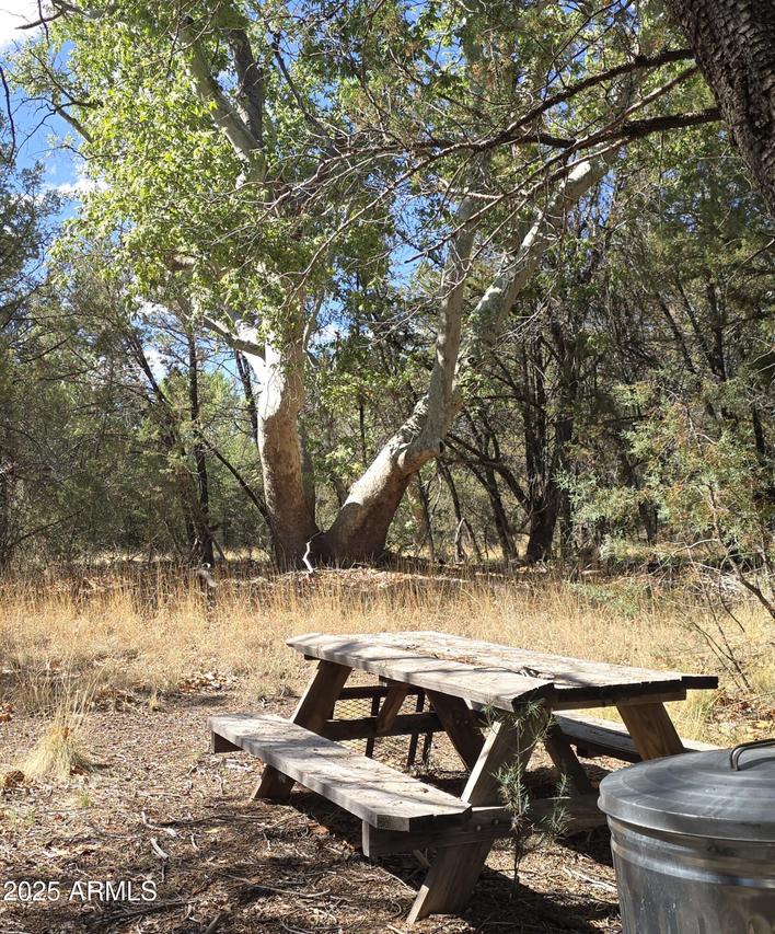 772 E Naegelin Xing Crossing #-, Young, AZ 85554