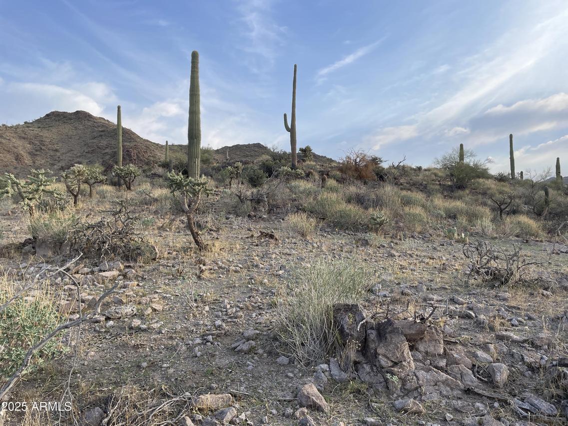 009 N Elephant Butte Rd. #H, Queen Valley, AZ 85118