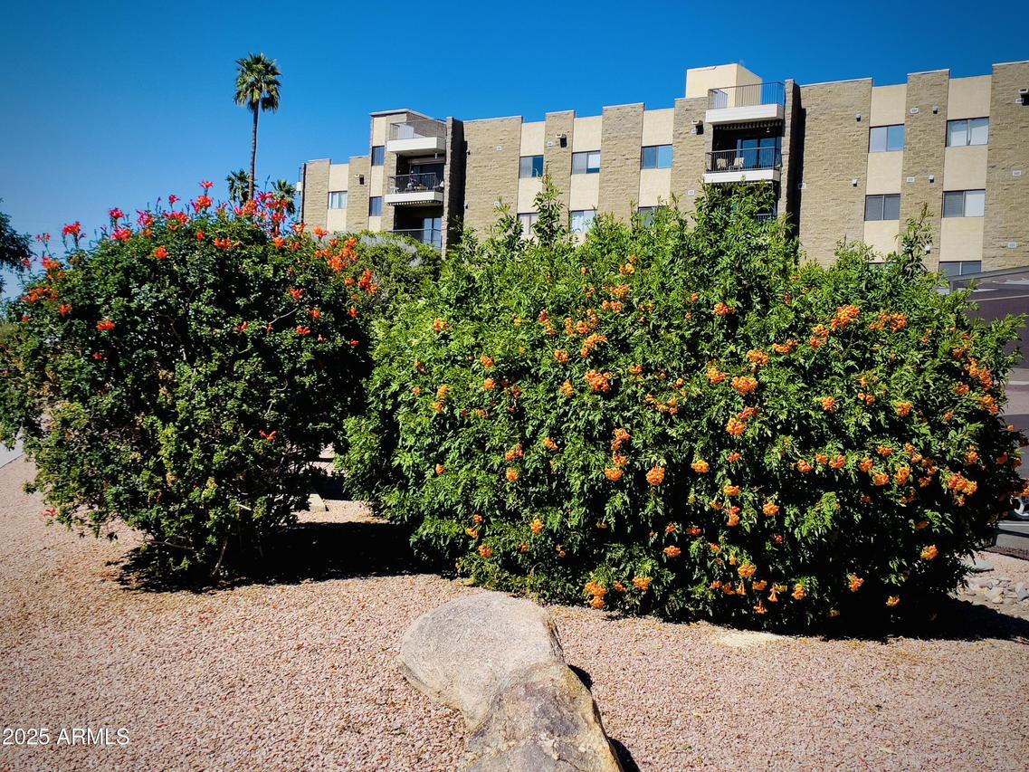 425 S Parkcrest St. #335, Mesa, AZ 85206