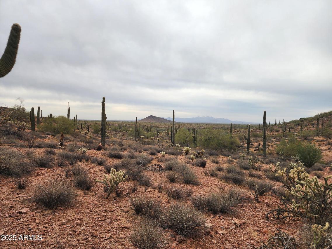 000 W Black Mountain Rd. #94, Wittmann, AZ 85361