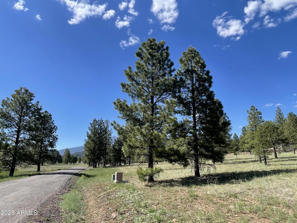 N San Francisco St. #-, Flagstaff, AZ 86001