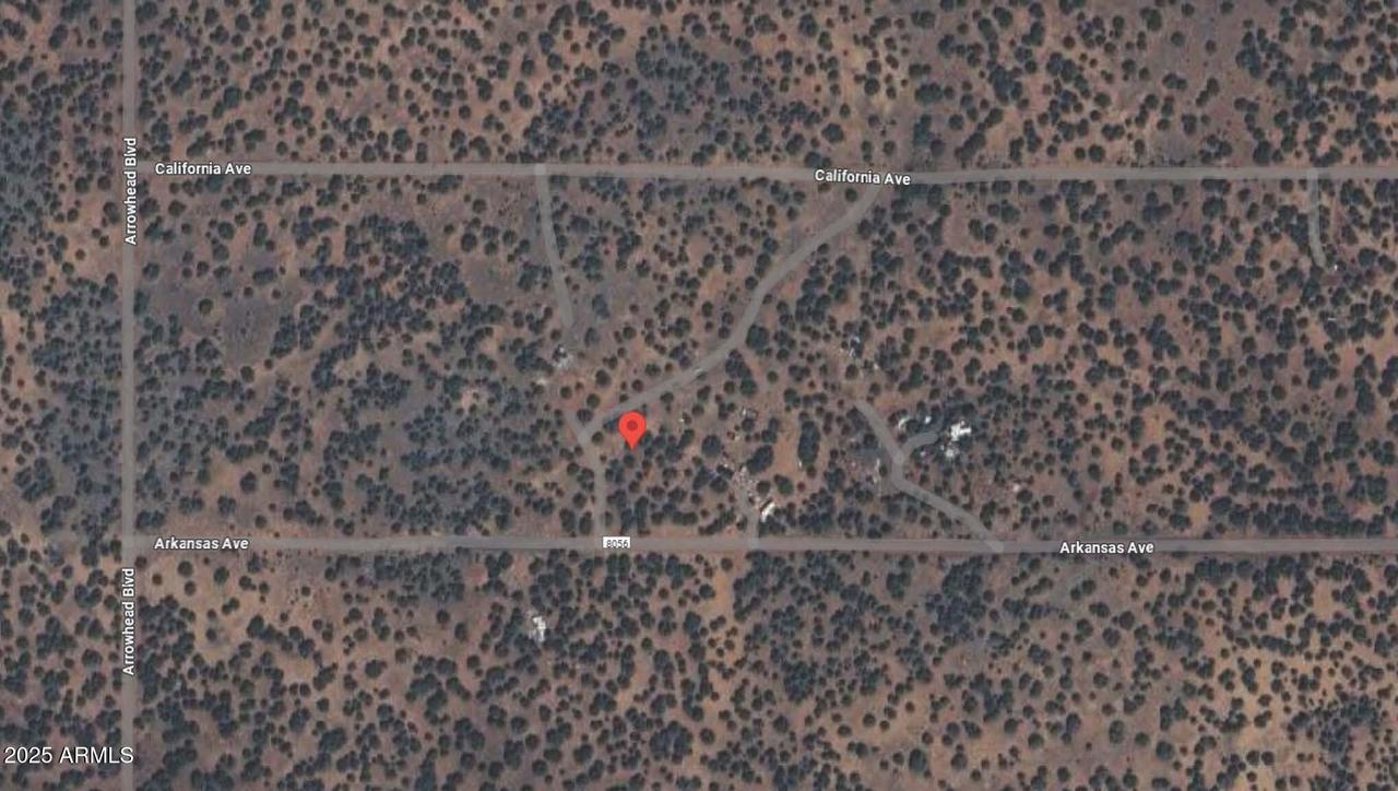 17 County Road 8056 #377, Concho, AZ 85924