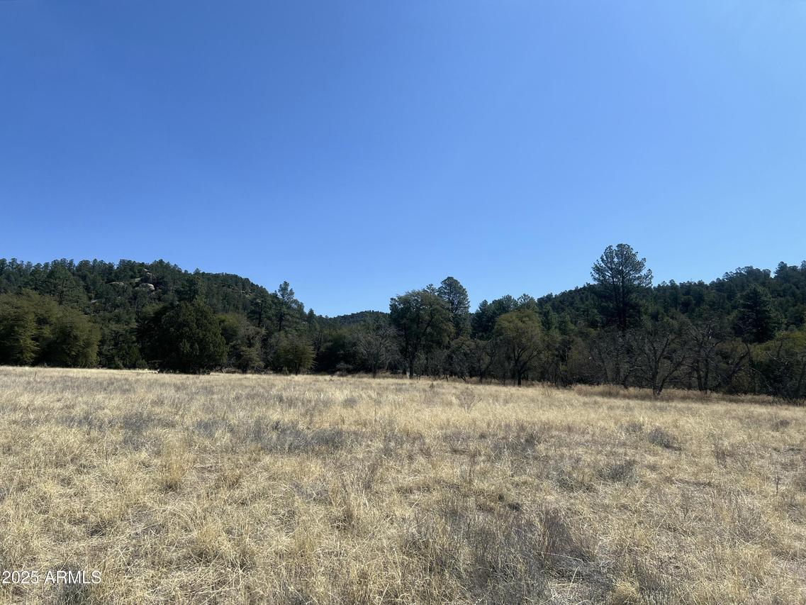 230 E Cline Crossing #C1-B, Young, AZ 85554