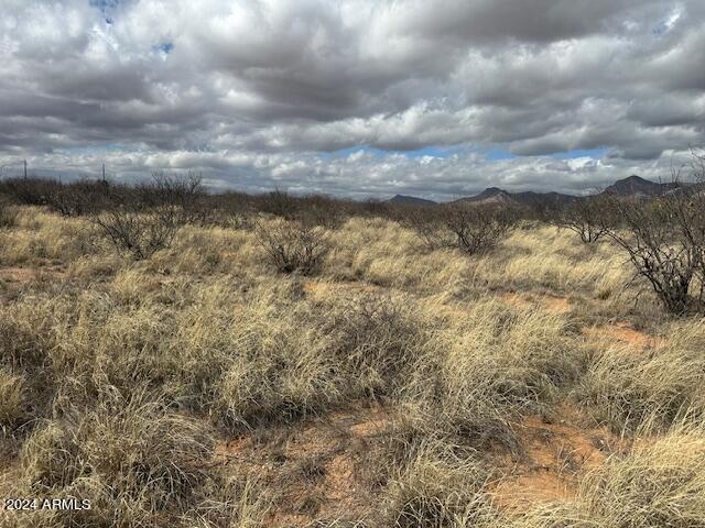 TBD S Logans Run #18, Hereford, AZ 85615