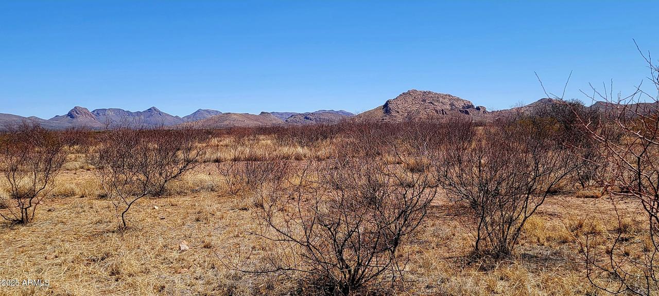 Lot 12/13A E Whitaker Ln. #12-13A, Douglas, AZ 85067