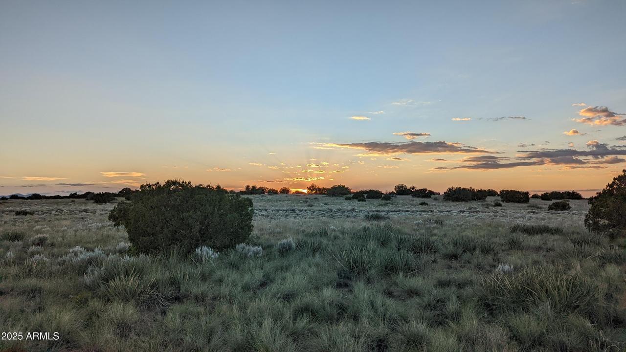 202 County Road N6451 #316, St Johns, AZ 85936