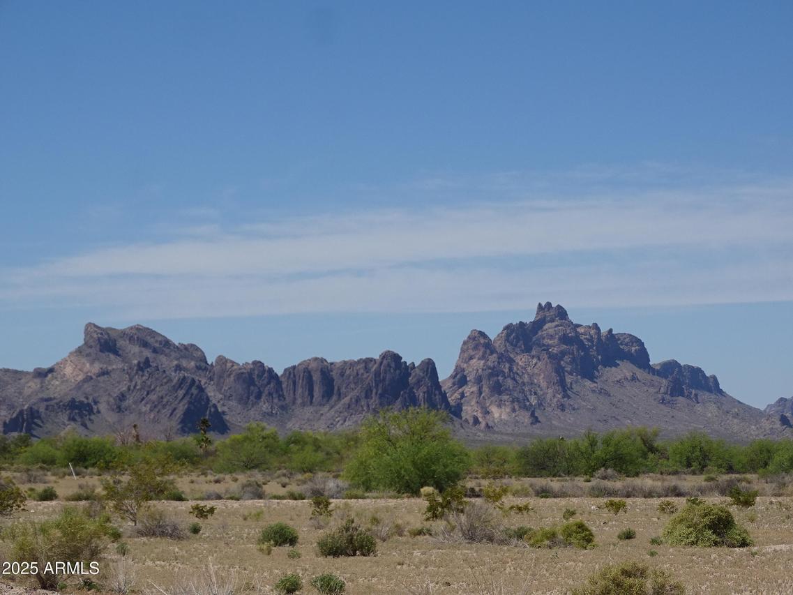 10000 S 540th Ave. #214, Tonopah, AZ 85354