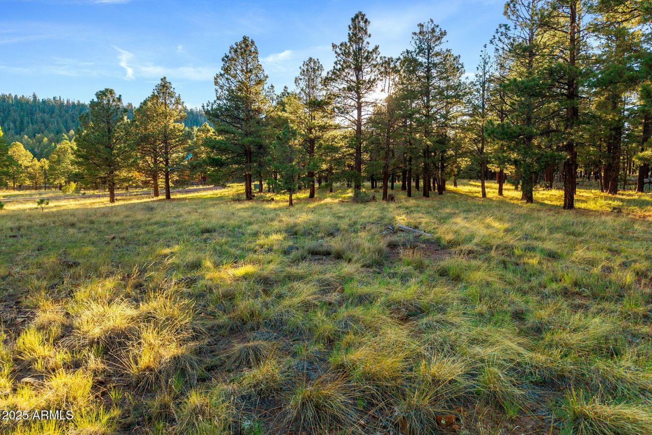 7 N County Road N1332 #46, Greer, AZ 85927