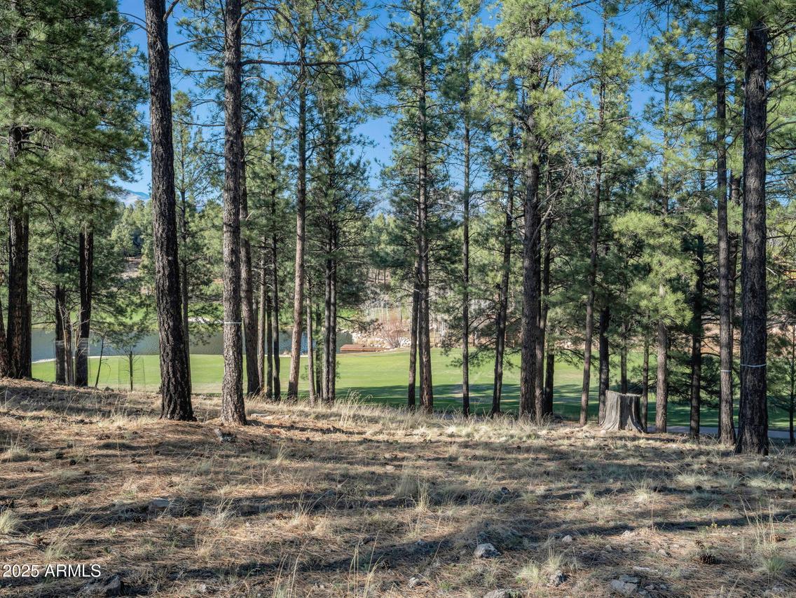 2015 E Barranca Dr. #80, Flagstaff, AZ 86005