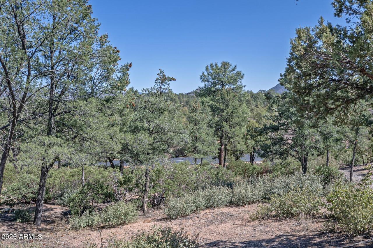2500 E Feather Plume Ln. #550, Payson, AZ 85541