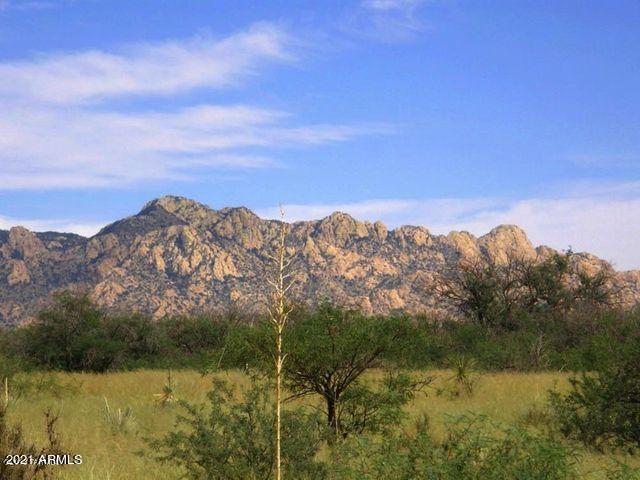 M167 N Fox Hollow Lot 167 Ln. #167, Saint David, AZ 85630