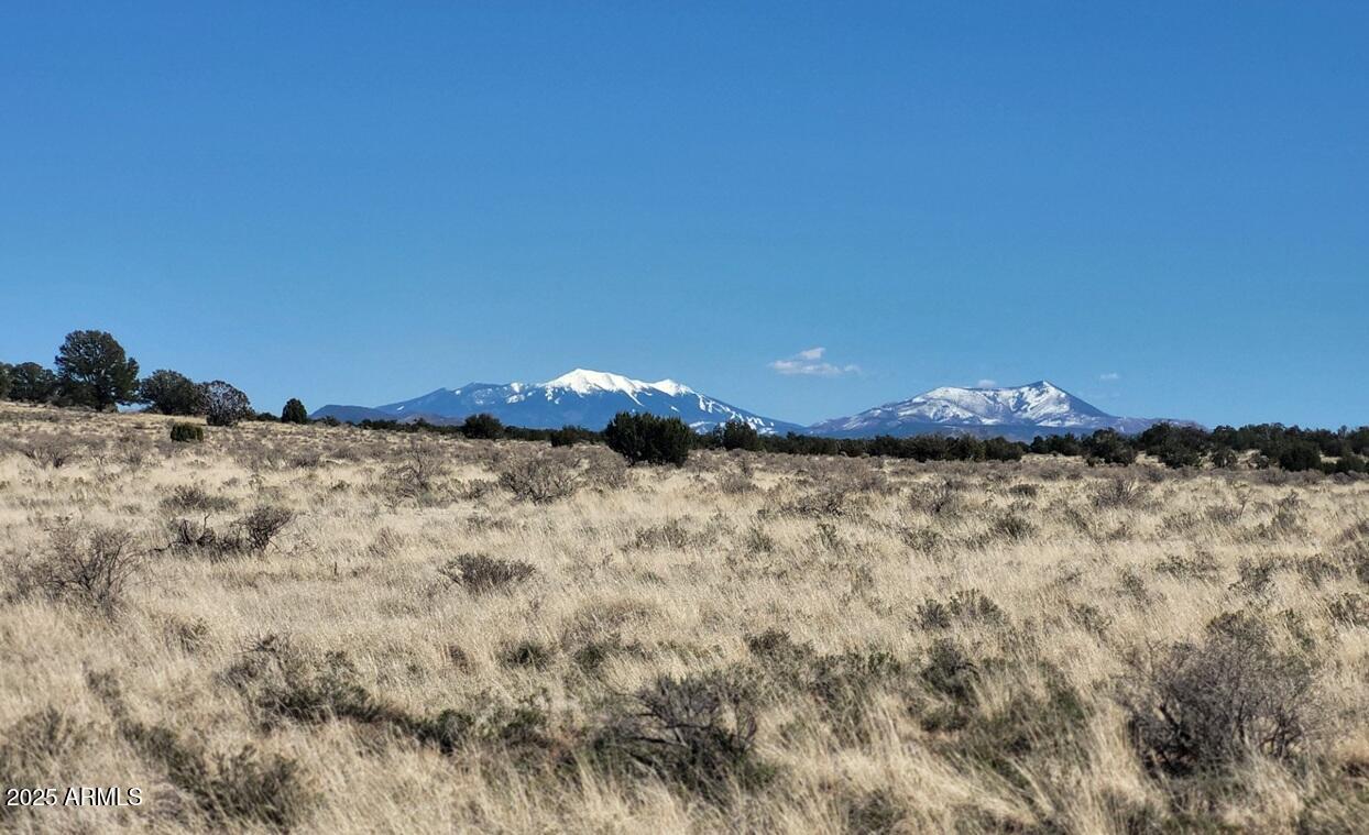 1124 N Grand Canyon Ranches Rd. #4, Williams, AZ 86046
