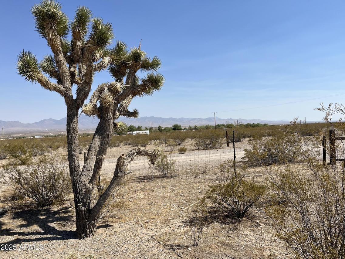 xxxxxx N Coyote Rd. #78, Dolan Springs, AZ 86441