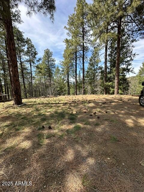 5145 S Cardinal Crest Ln. #1536, Prescott, AZ 86303