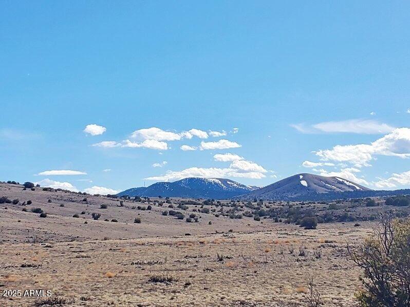 71 County Road N3448 Rd. #-, Concho, AZ 85924