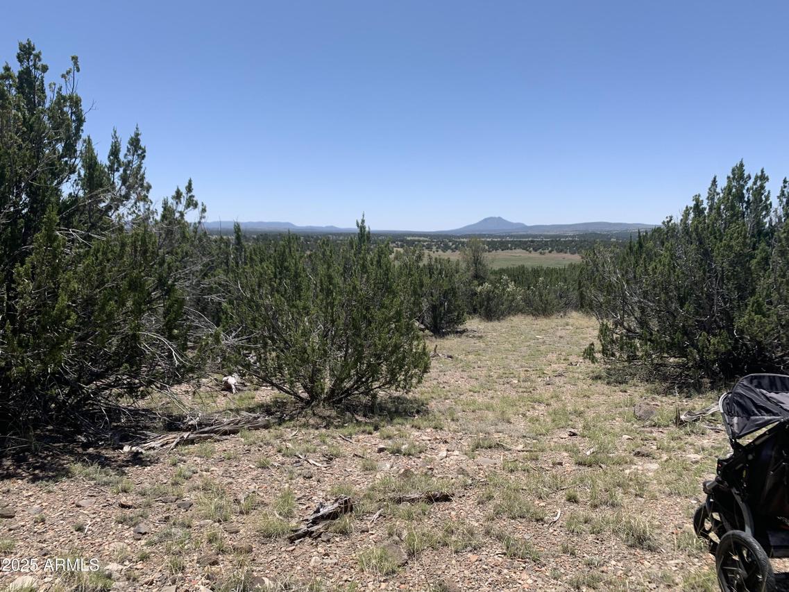 37925 W Raptor Rd. #764, Seligman, AZ 86337
