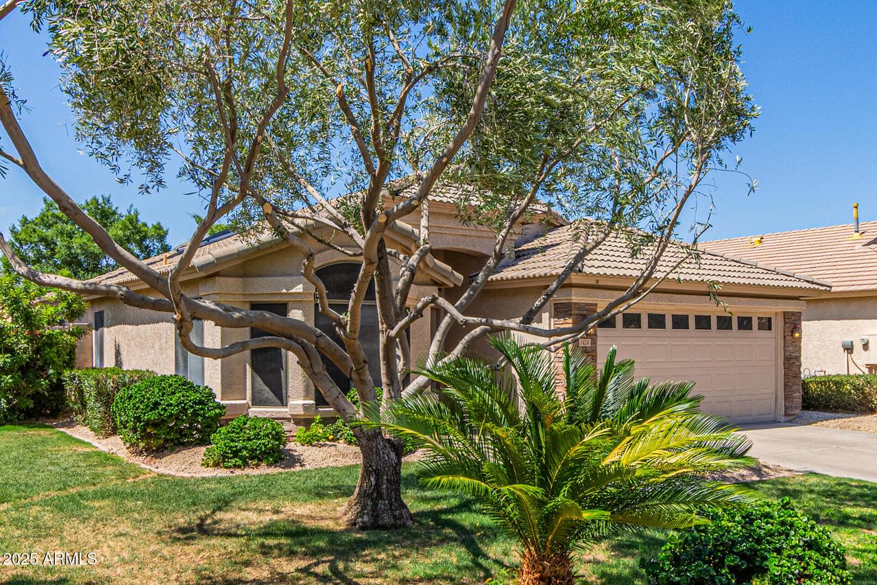 1424 W Mead Dr., Chandler, AZ 85248