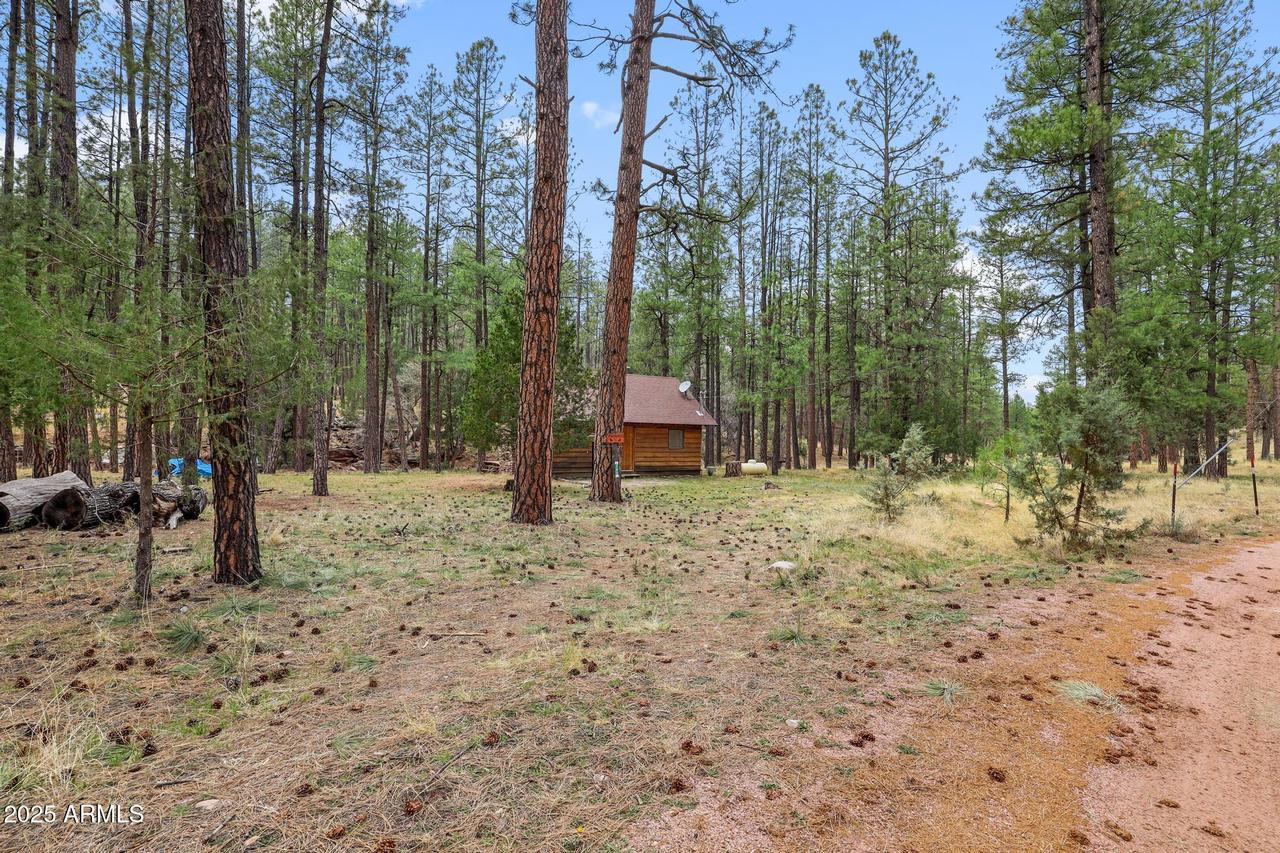 293 W Diamond Rd., Payson, AZ 85541
