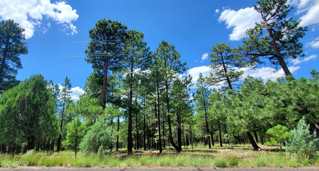 2526 Well Water Rd. #322, Happy Jack, AZ 86024