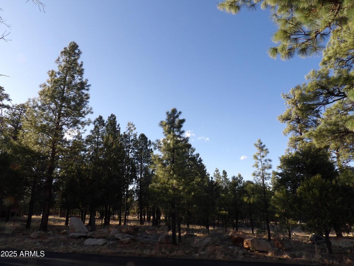 3632 Timberline Dr. #24, Happy Jack, AZ 86024