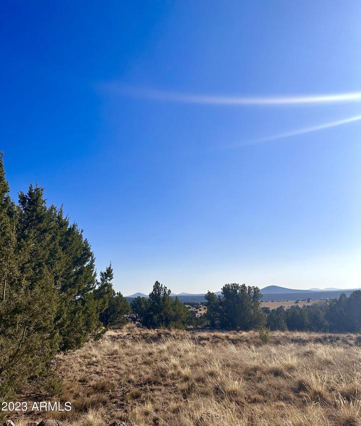 14 8249 County Rd. #038, Concho, AZ 85924