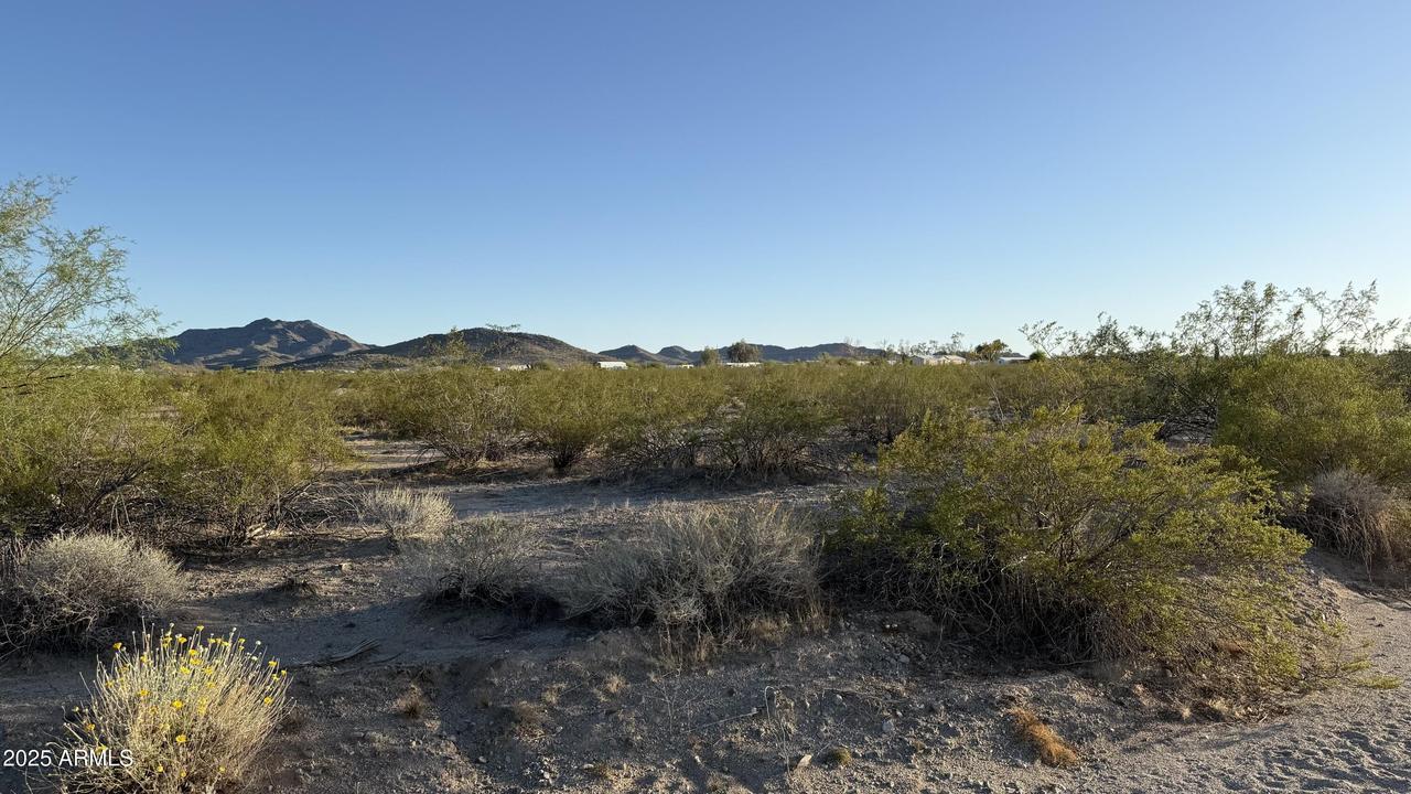 Hickory Way #228, Salome, AZ 85348