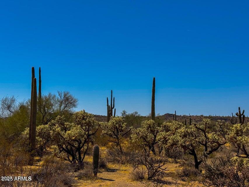 N Hohokam Rd Lot 5 8.51 Acres #-, Florence, AZ 85132