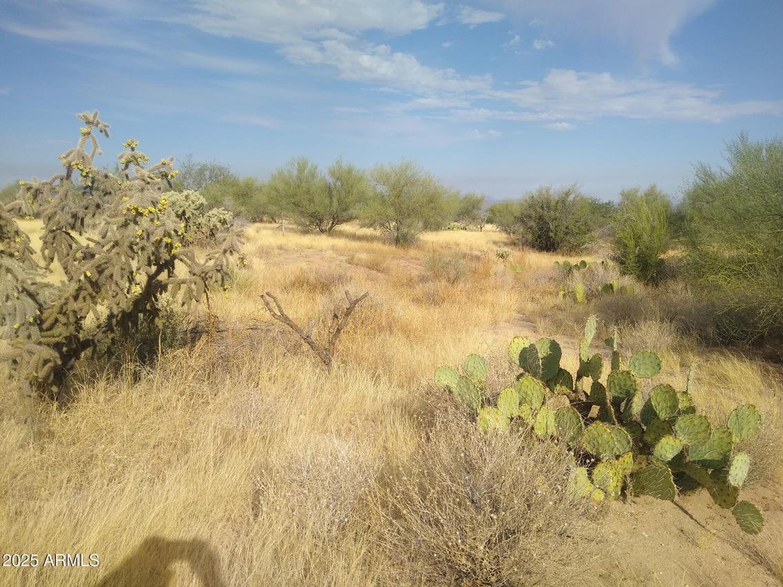 NW Longbranch Rd. #NULL, Tucson, AZ 85736